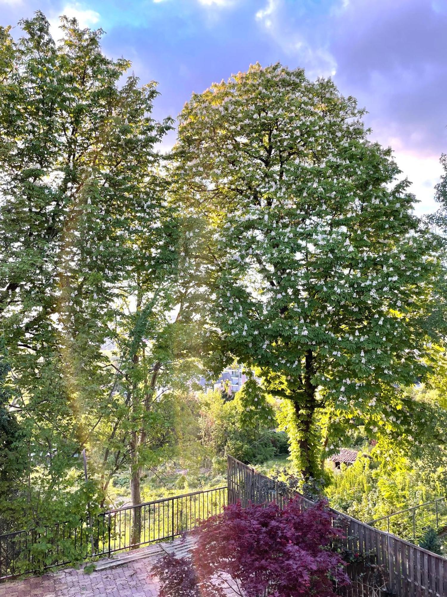 Sara Home Chennevieres-sur-Marne Exterior photo